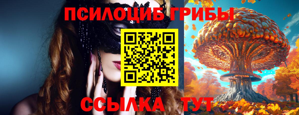 Псилоцибиновые грибы Cubensis  Галлюциногенные грибы ЛСД  Вход с VPN  Минусинск 