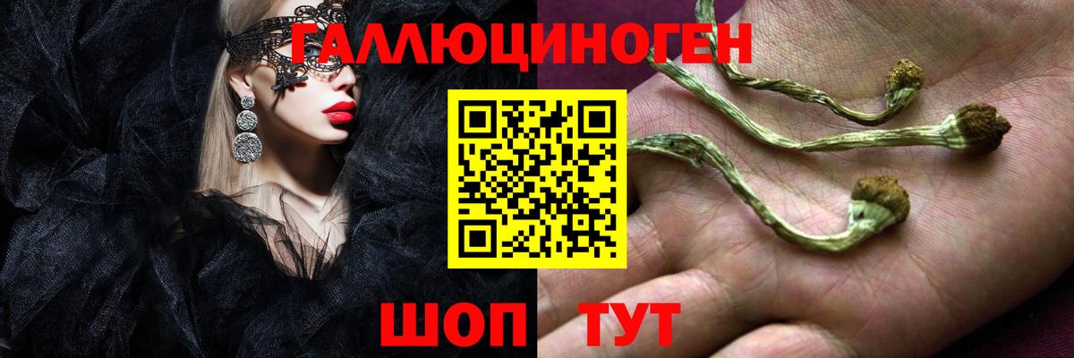 Псилоцибиновые грибы ЛСД Минусинск